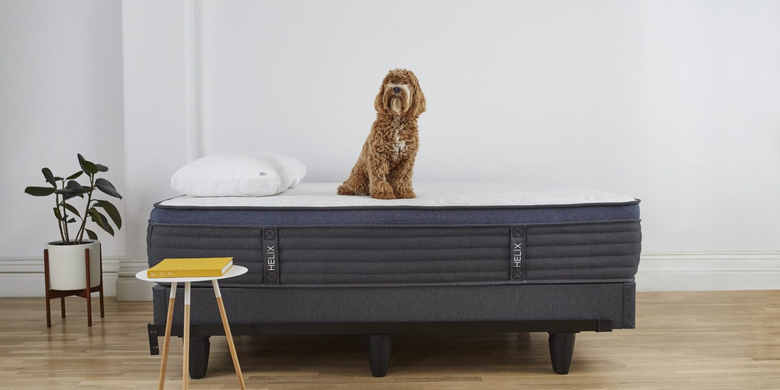 Easiest Ways to Make Your Bed Higher Dream Journal