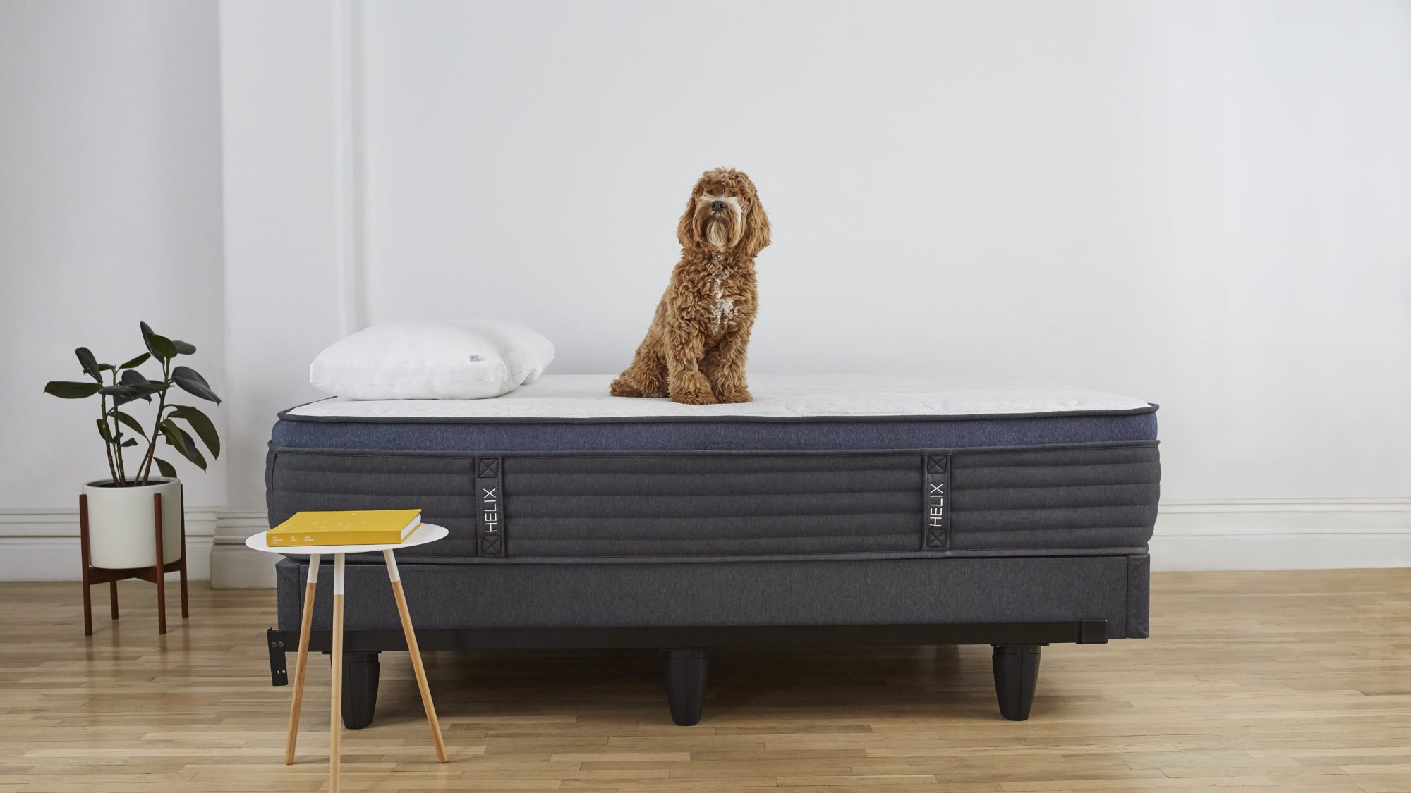 Dream Journal - Helix Sleep